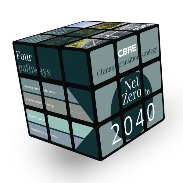 Bespoke Rubik's Cubes